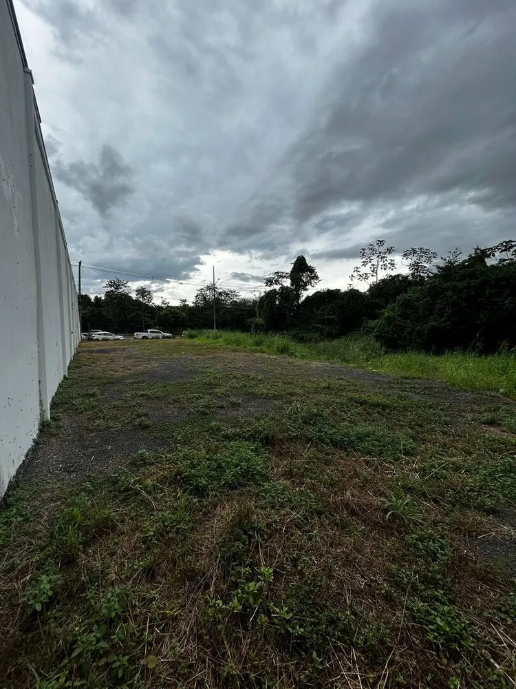 Terreno - Foto 5