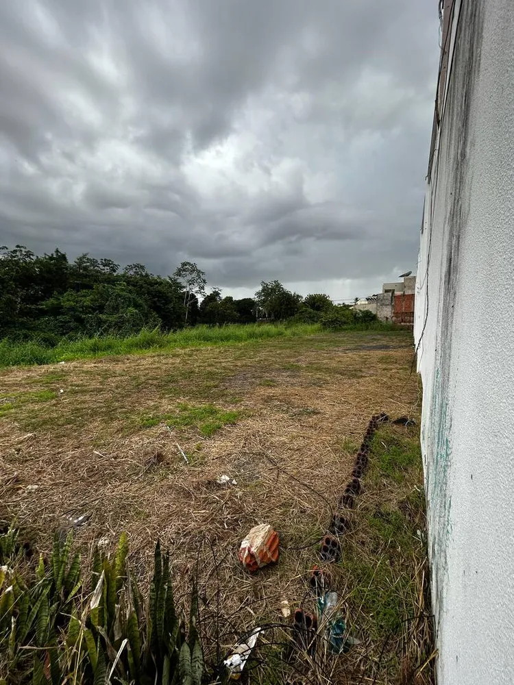 Terreno - Foto 6