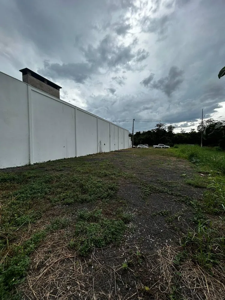 Terreno - Foto 4