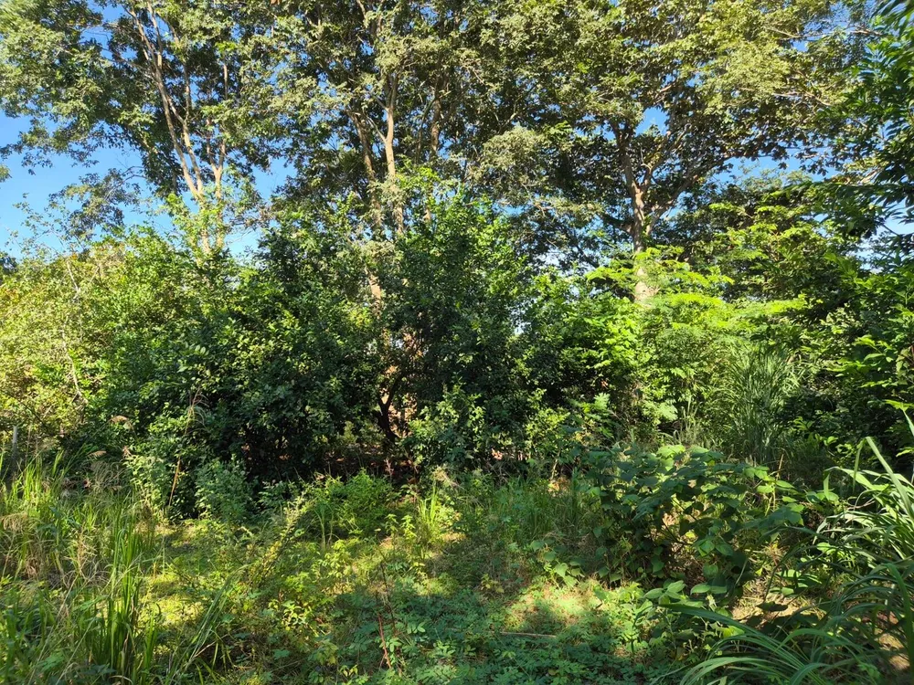 Terreno, 9 m² - Foto 4