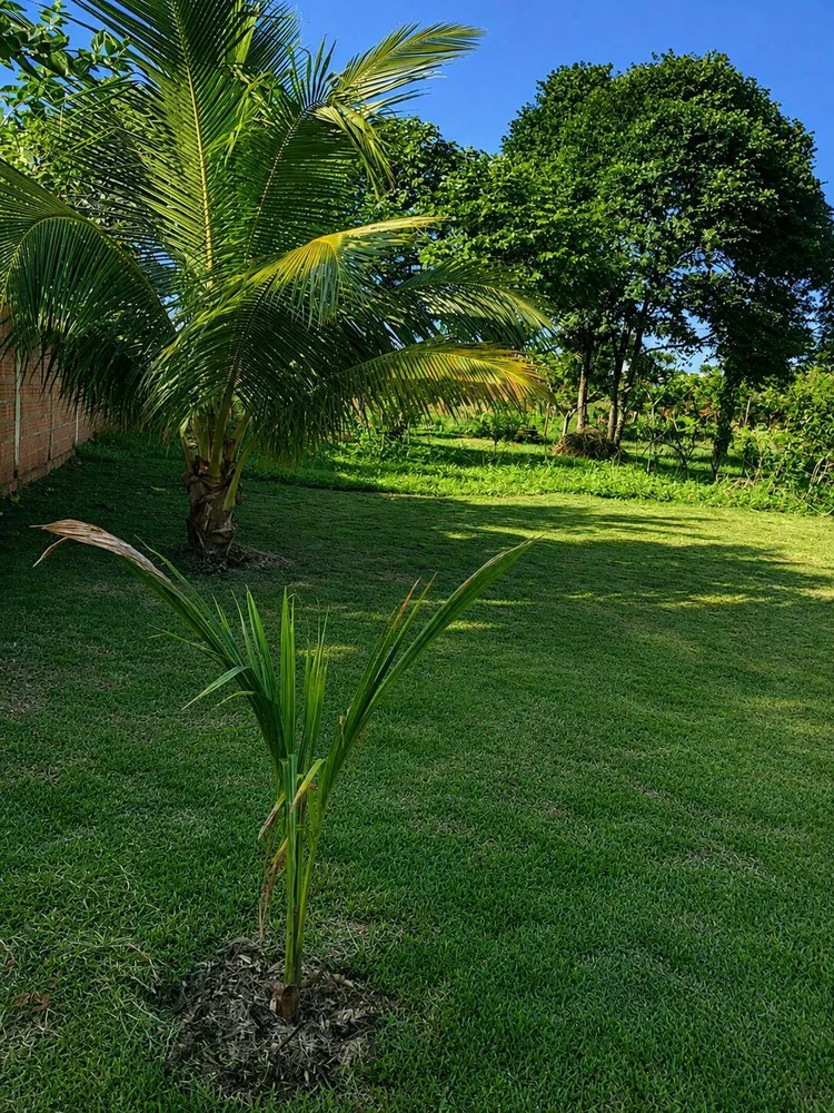 Terreno - Foto 2