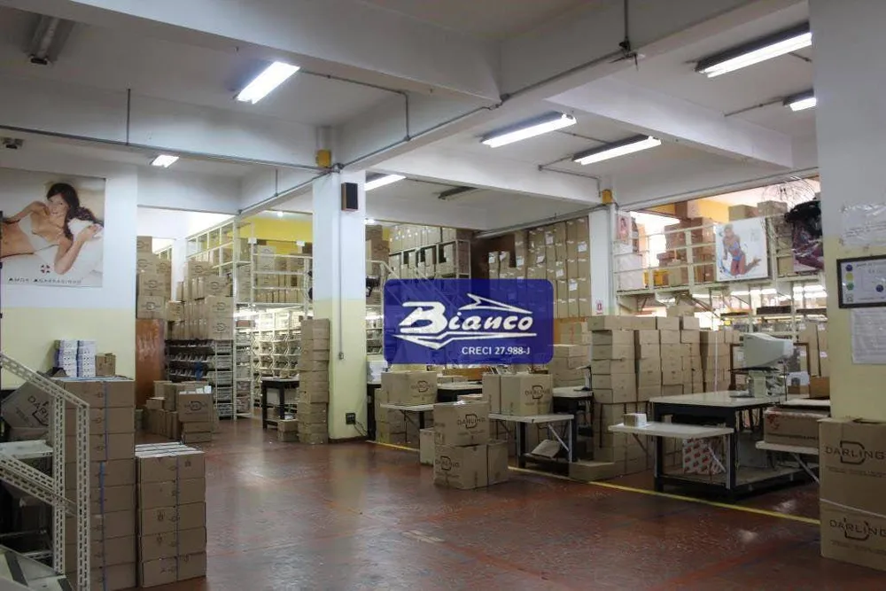 Prédio Inteiro, 8813 m² - Foto 5