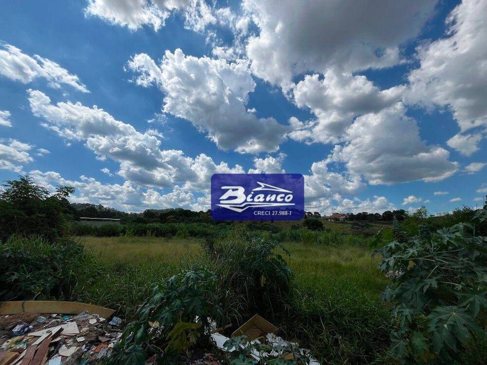 Terreno, 6 hectares - Foto 3