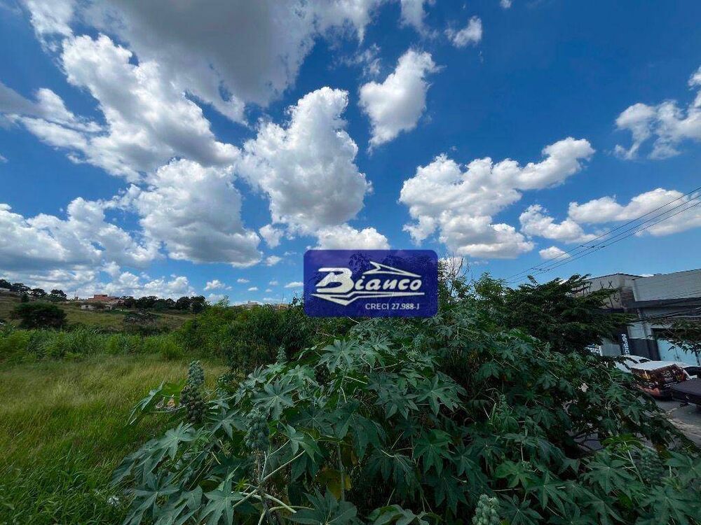 Terreno, 6 hectares - Foto 5