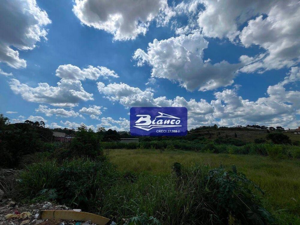 Terreno, 6 hectares - Foto 4