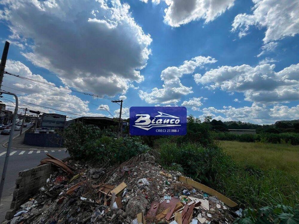 Terreno, 6 hectares - Foto 7