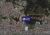 Terreno, 4 hectares - Foto 1