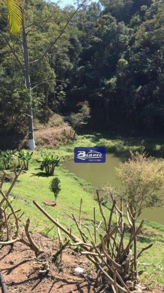 Sítio, 3 quartos, 24 hectares - Foto 4