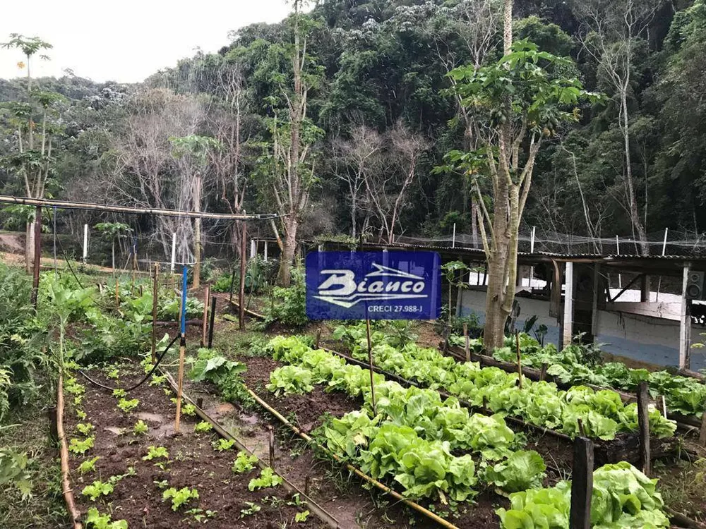 Sítio, 3 quartos, 24 hectares - Foto 7
