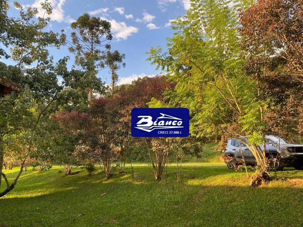 Chácara, 4 quartos, 8600 m² - Foto 7