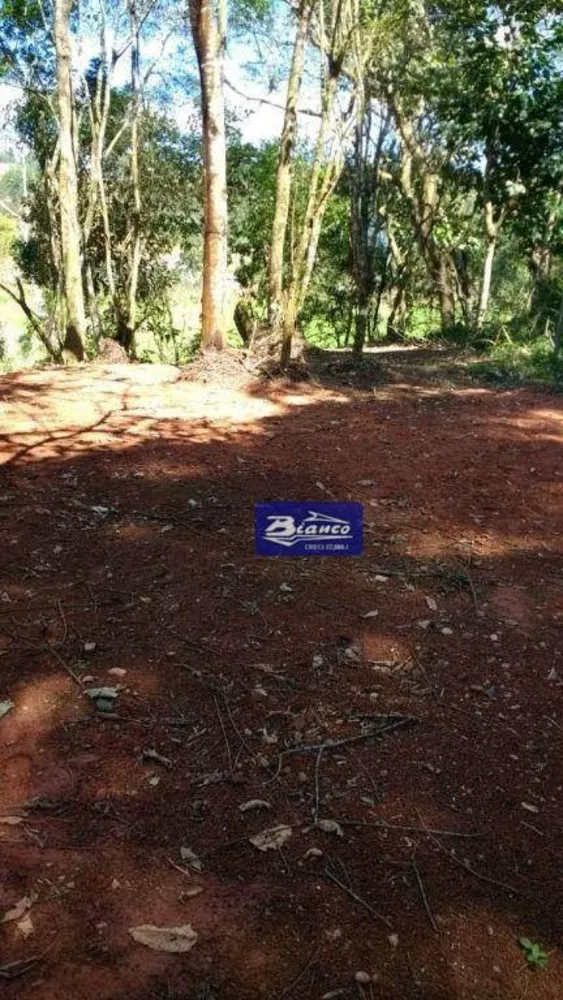 Sítio, 5 quartos, 2 hectares - Foto 7
