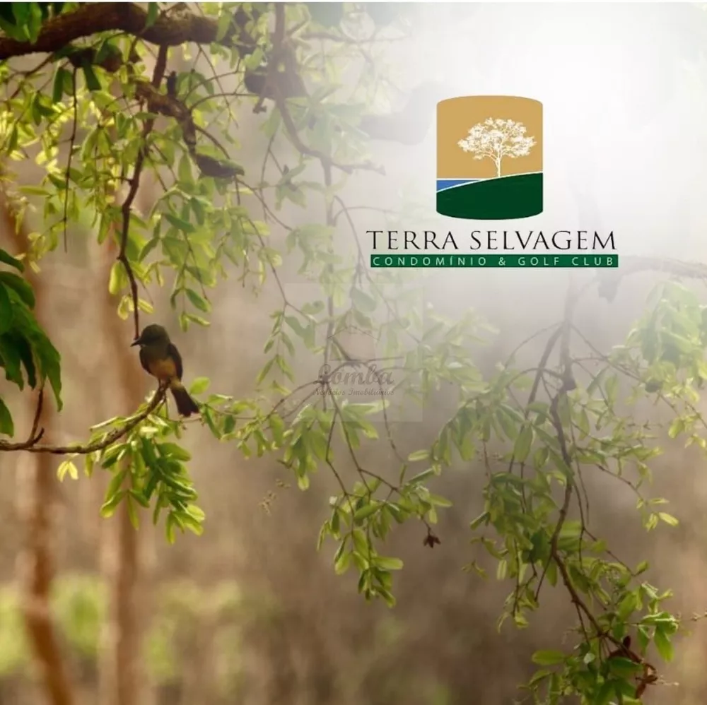 Terreno, 1125 m² - Foto 3