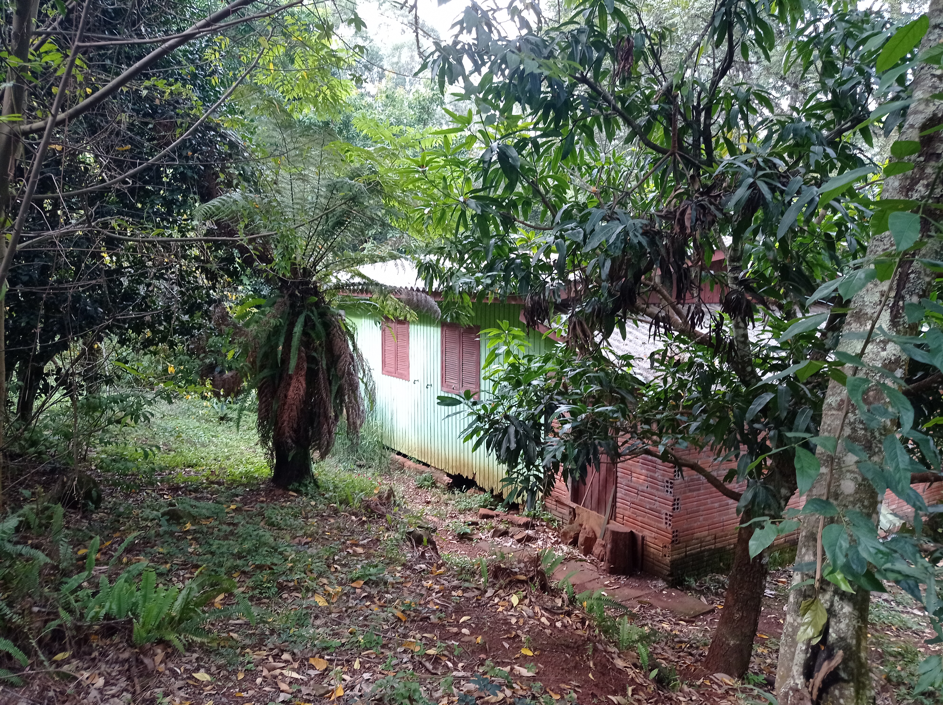 Chácara à venda com 3 quartos, 30000m² - Foto 6