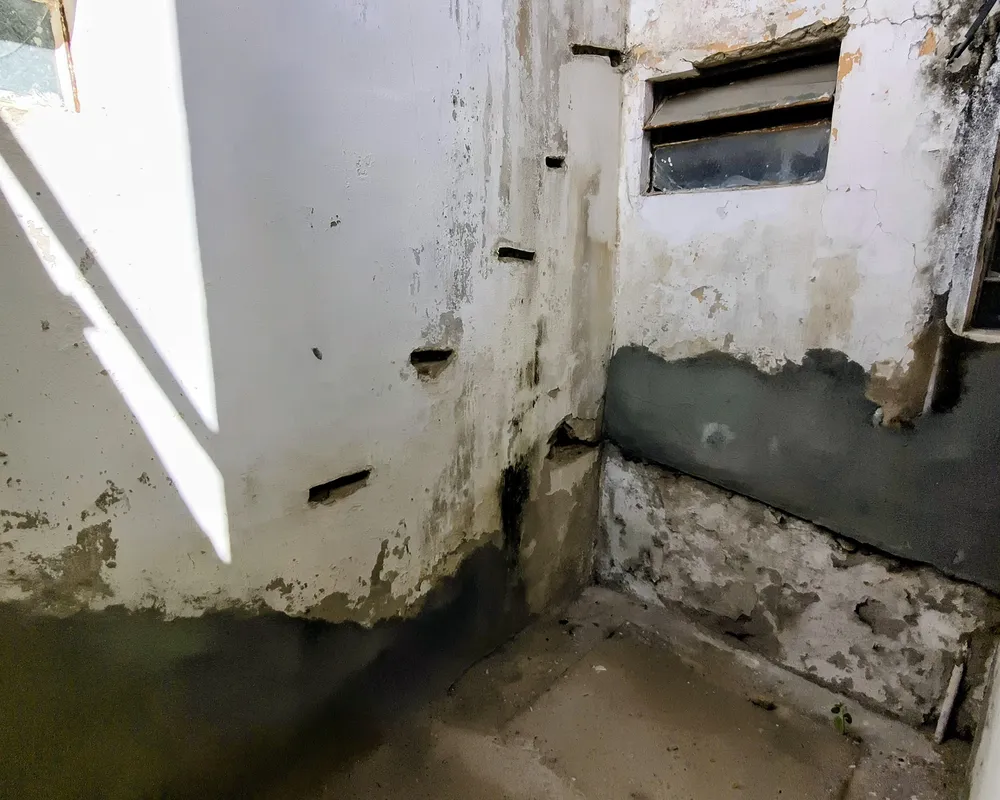 Casa, 3 quartos, 180 m² - Foto 27
