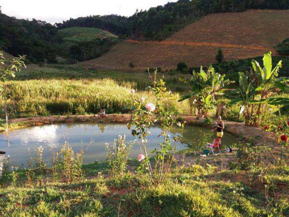 Chácara, 3 quartos, 2500 m² - Foto 8