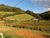 Chácara, 3 quartos, 2500 m² - Foto 5