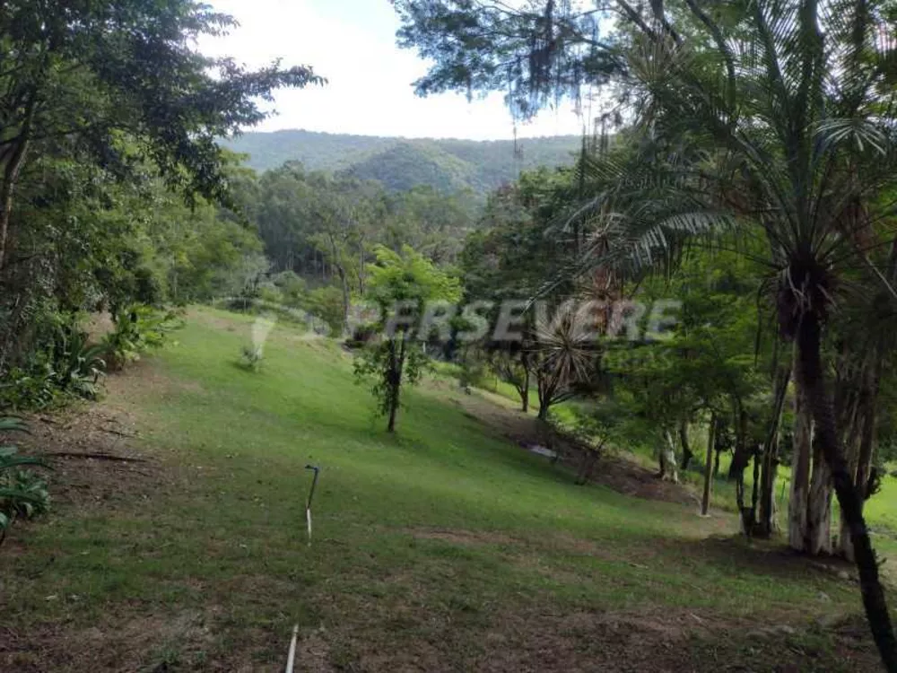 Casa, 5 quartos, 350 m² - Foto 13