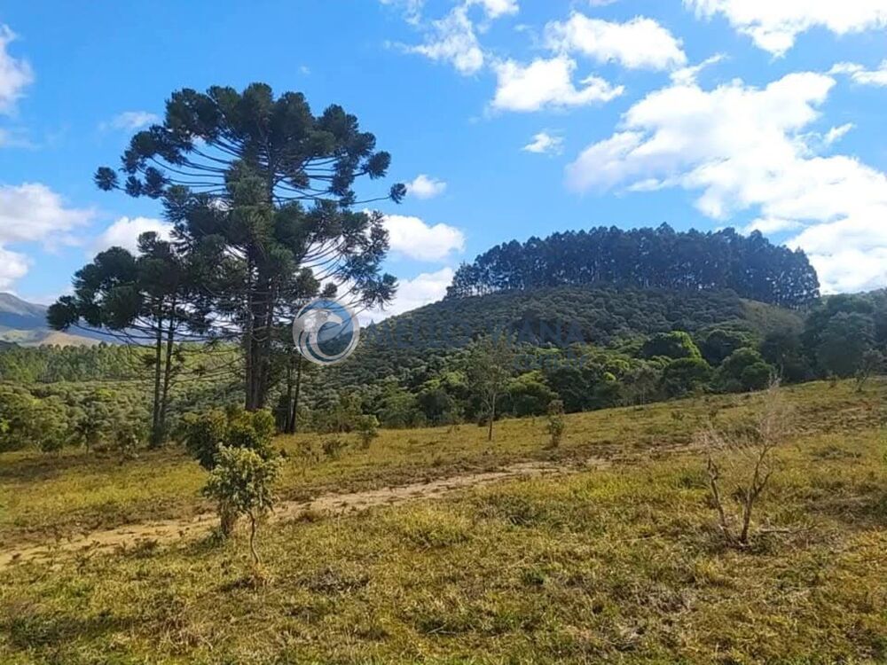 Sítio, 16 m² - Foto 17