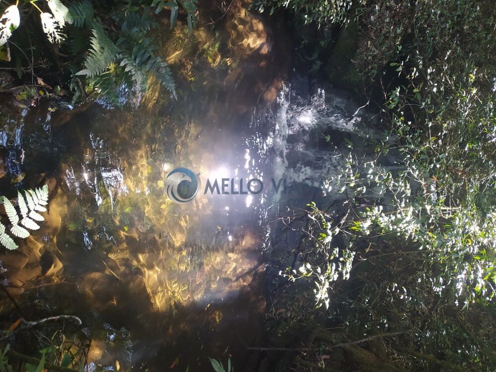 Sítio, 16 m² - Foto 12