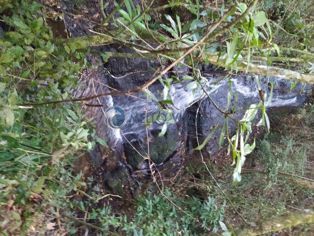 Sítio, 16 m² - Foto 11