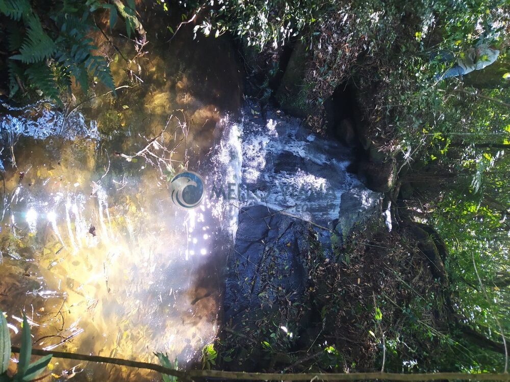 Sítio, 16 m² - Foto 4