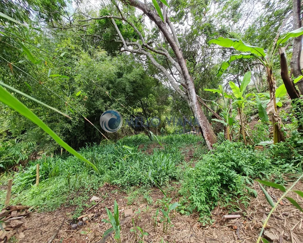 Chácara, 4 quartos, 2700 m² - Foto 8
