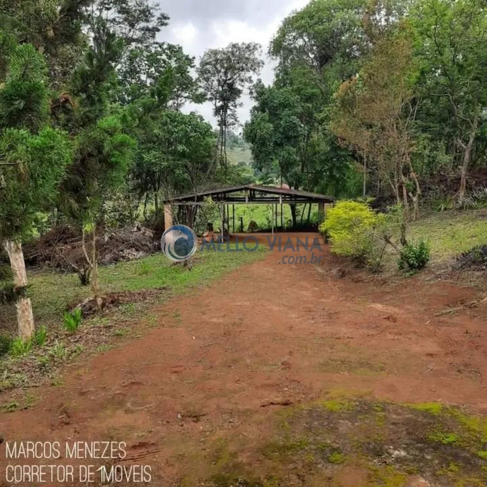 Chácara, 2 quartos, 7600 m² - Foto 2