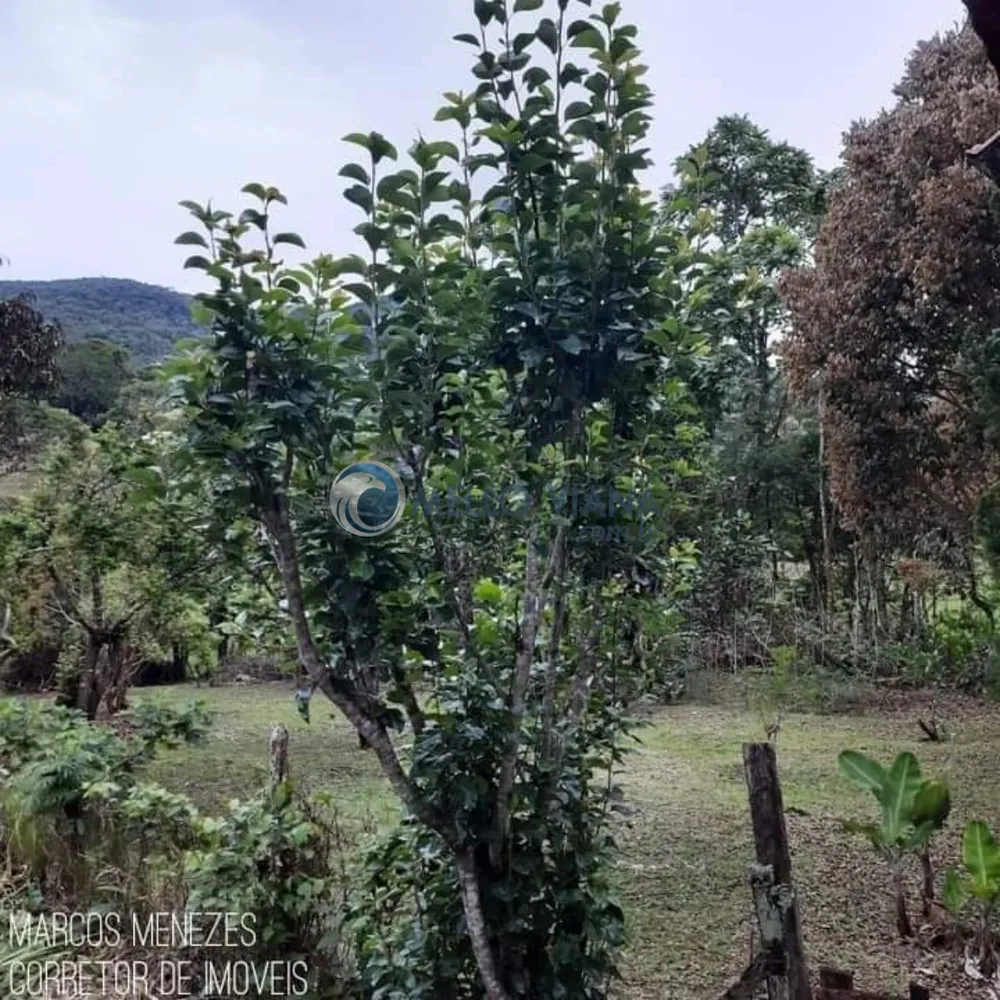 Chácara, 2 quartos, 7600 m² - Foto 3