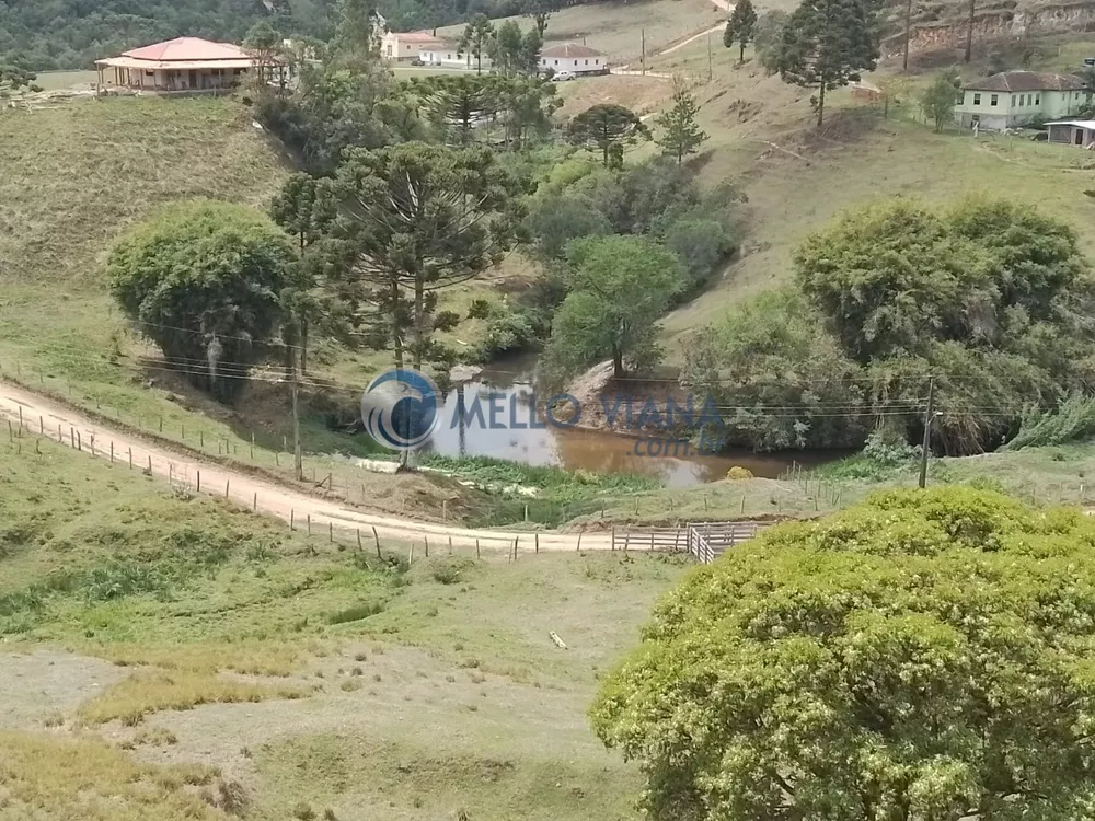 Fazenda à venda com 2 quartos, 140m² - Foto 3