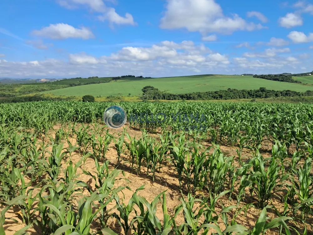 Fazenda, 350 m² - Foto 3