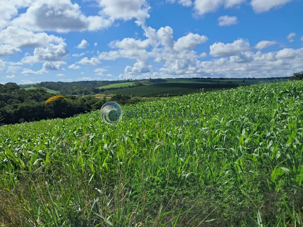 Fazenda, 350 m² - Foto 10