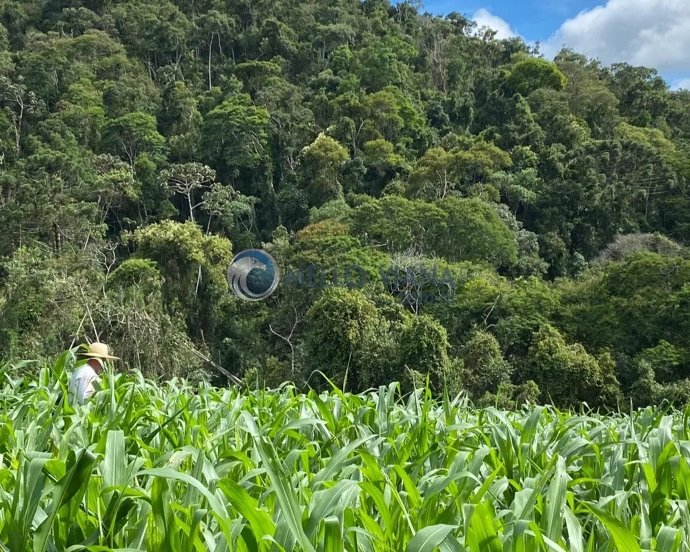 Fazenda, 171 m² - Foto 10