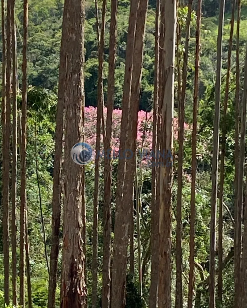 Fazenda, 171 m² - Foto 9