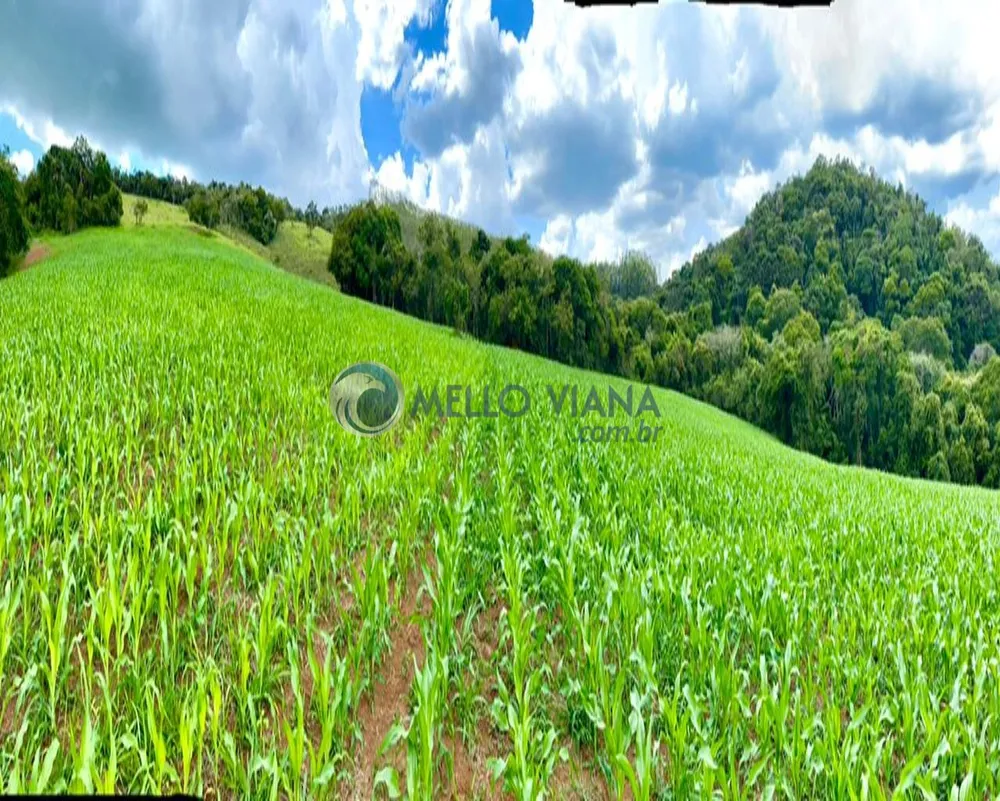Fazenda, 171 m² - Foto 12