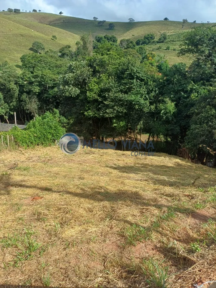 Casa, 5 quartos, 7000 m² - Foto 8