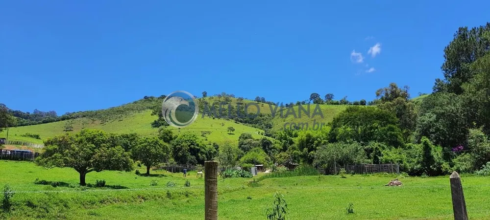 Chácara, 4 quartos, 2 hectares - Foto 8