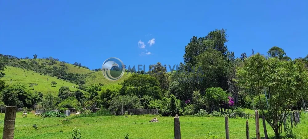 Chácara, 4 quartos, 2 hectares - Foto 7