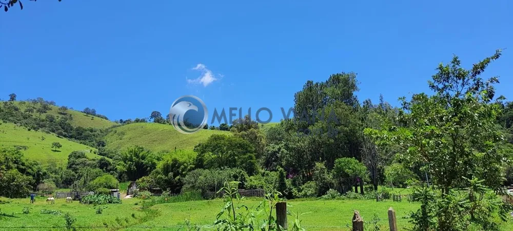 Chácara, 4 quartos, 2 hectares - Foto 6