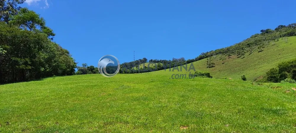 Chácara, 4 quartos, 2 hectares - Foto 13