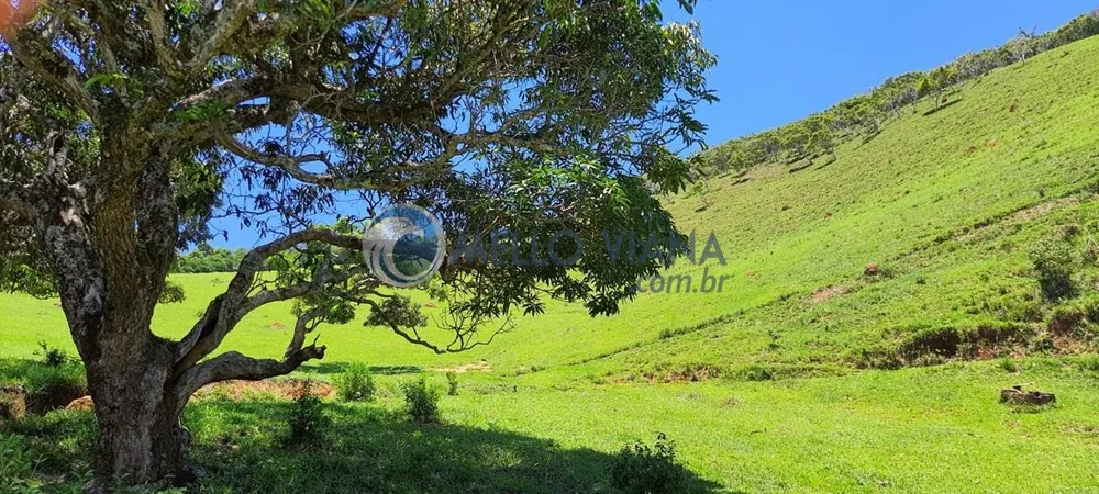 Chácara, 4 quartos, 2 hectares - Foto 16