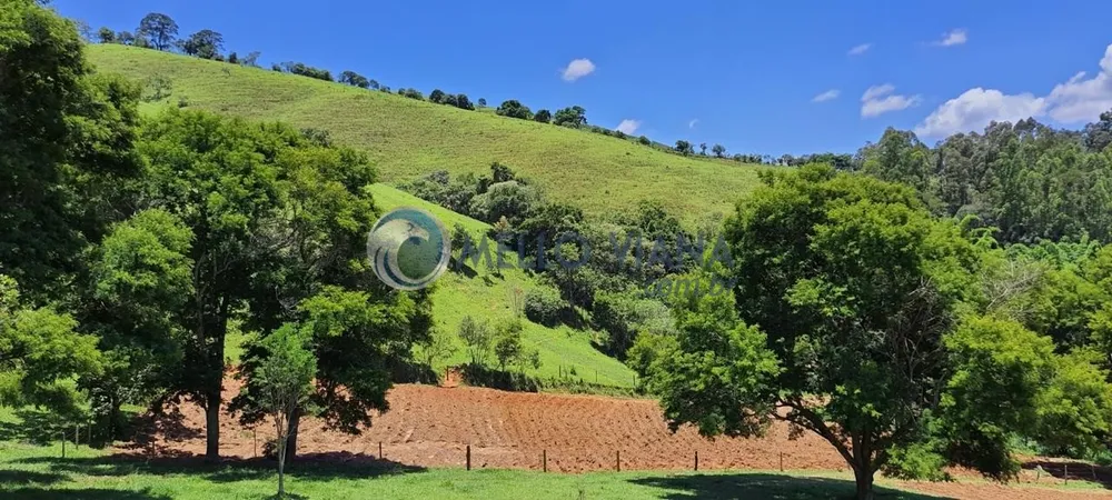 Chácara, 4 quartos, 2 hectares - Foto 15