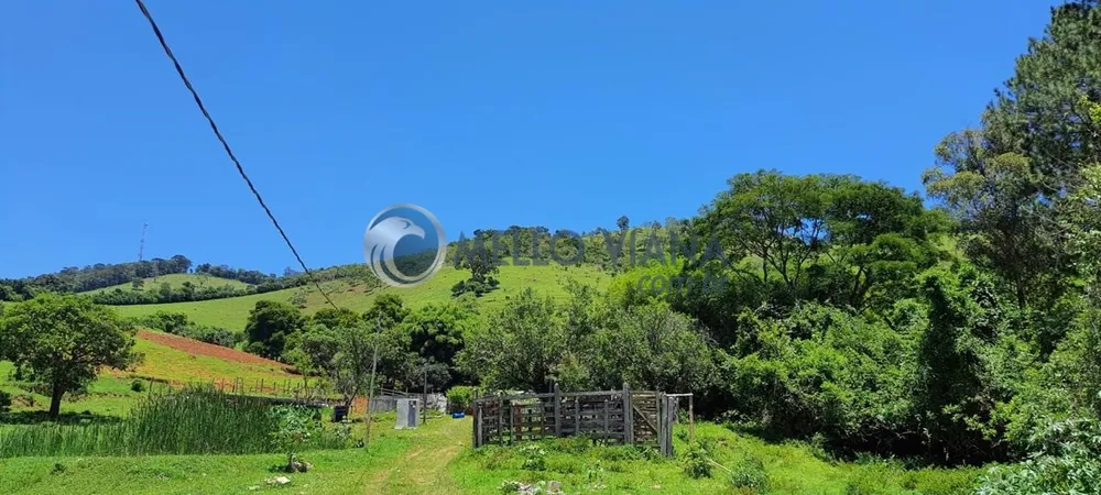 Chácara, 4 quartos, 2 hectares - Foto 9