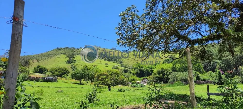 Chácara, 4 quartos, 2 hectares - Foto 4