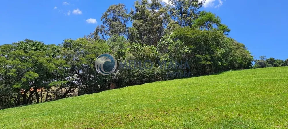 Chácara, 4 quartos, 2 hectares - Foto 14