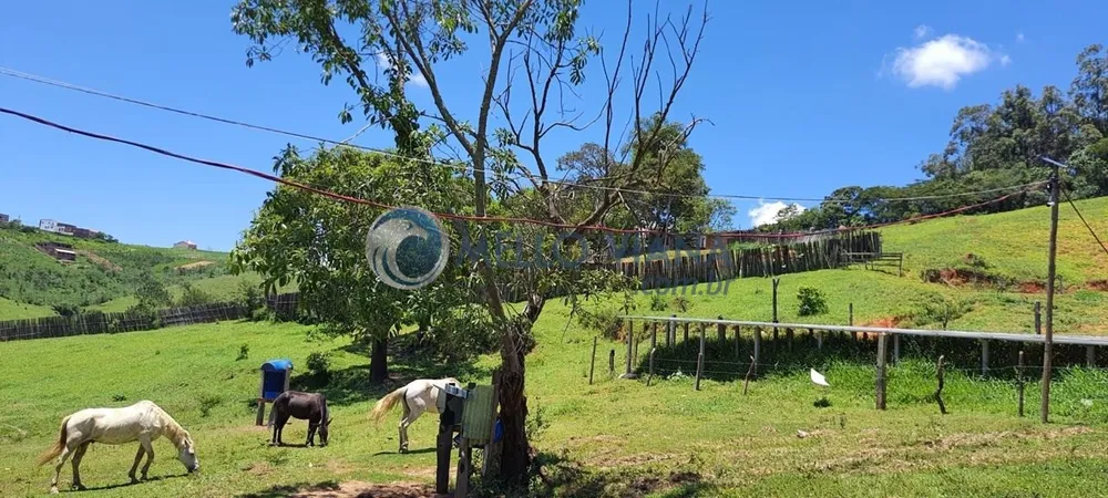 Chácara, 4 quartos, 2 hectares - Foto 11