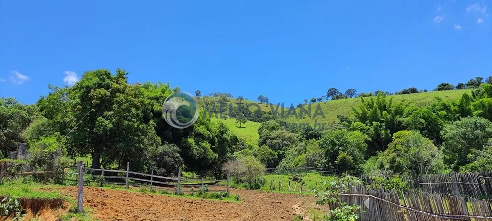 Chácara, 4 quartos, 2 hectares - Foto 10
