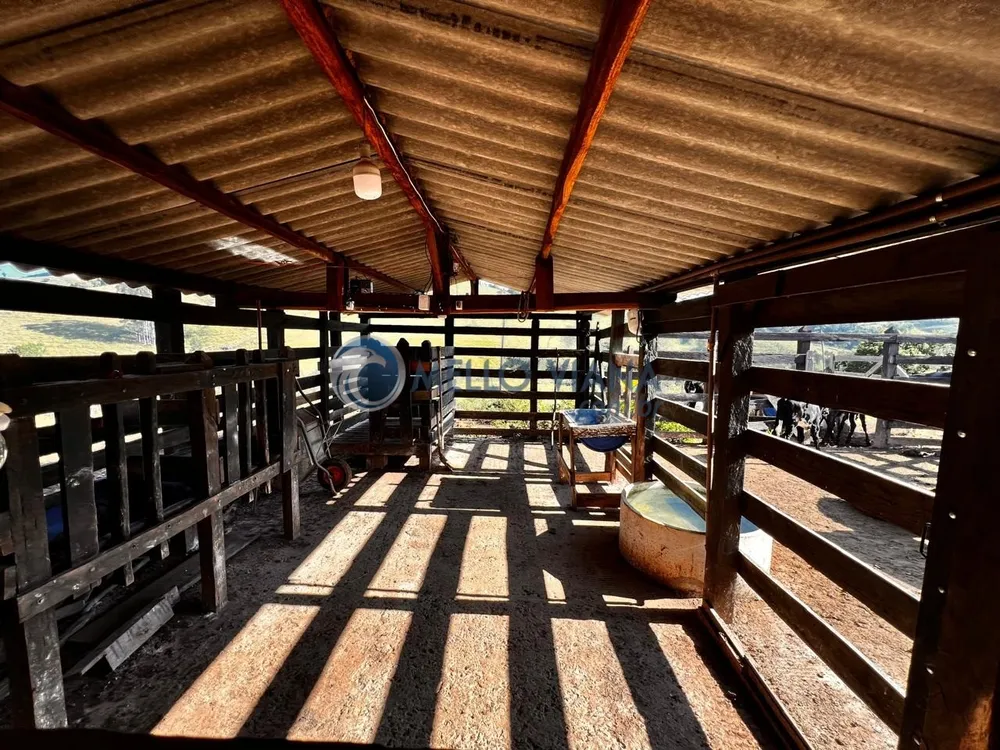 Sítio, 3 quartos, 5 hectares - Foto 16