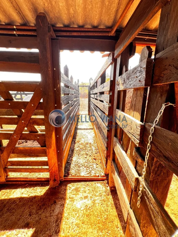 Sítio, 3 quartos, 5 hectares - Foto 12