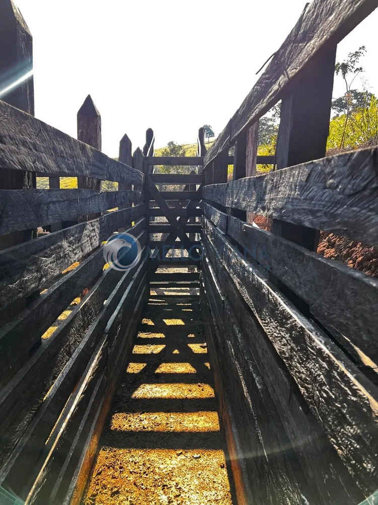 Sítio, 3 quartos, 5 hectares - Foto 14