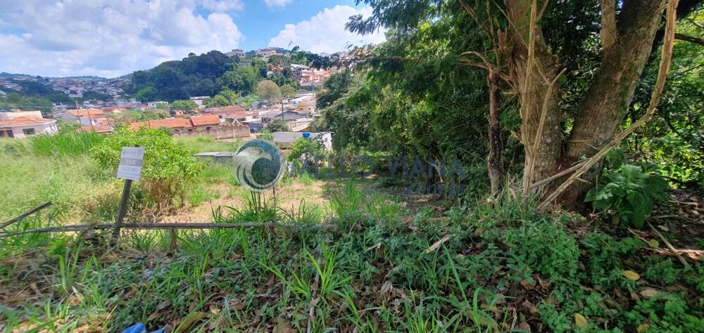 Loteamento e Condomínio - Foto 3